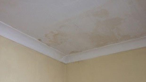 Damp Staining Ceiling Black Cat Services